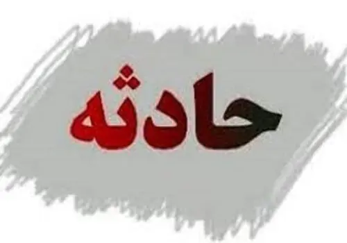 عامل رعب و وحشت شهروندان با سگ سیاه در باقرشهر دستگیر شد+ فیلم