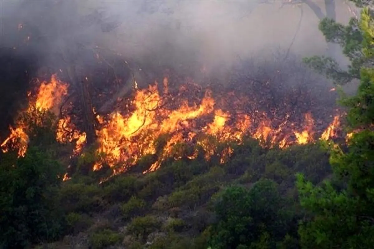 آتش نشانان ایران آتش سوزی جنگل های ارمنستان را خاموش کردند