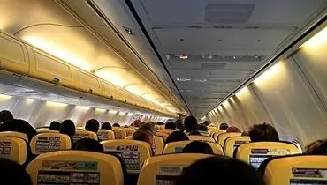 آمار عجیب حمله به مهمانداران آمریکایی در هواپیما + فیلم