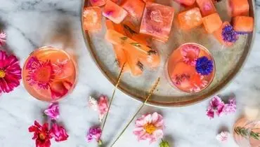 طرز تهیه یخ طعم دار یا یخ تزیینی شیک و مجلسی با میوه‌های فصل