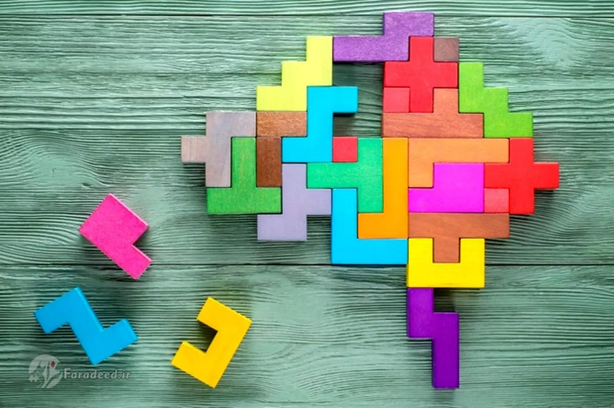 ۵ اصلِ حفظِ سلامتِ ذهنی و پیشگیری از زوال زودهنگامِ مغز