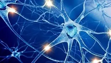 نشانه های جدی ابتلا به ویروس کرونا + فیلم