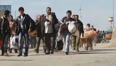 لهستان مهاجران افغان را غیرقانونی اخراج کرد