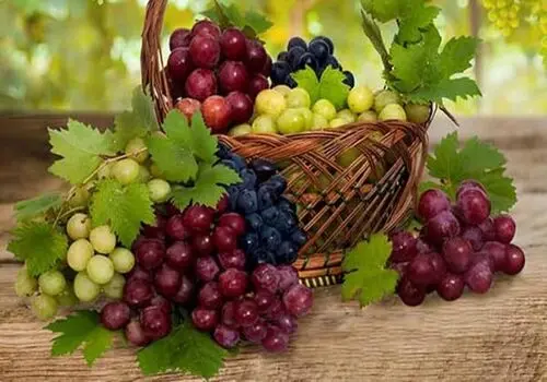  ۴ راهکار طلایی برای رسیدن به وزن دلخواه تا شب عید