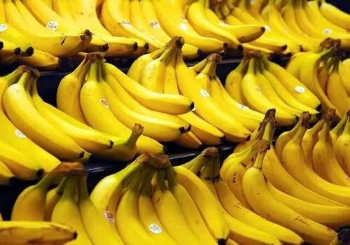 چرا قیمت موز سر به فلک کشیده؟
