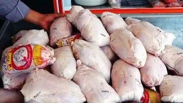تکذیب خوراندن تریاک برای وزن گیری مرغ گوشتی