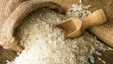 واردات ۷۱۵ هزارتن برنج در ۶ ماهه نخست امسال