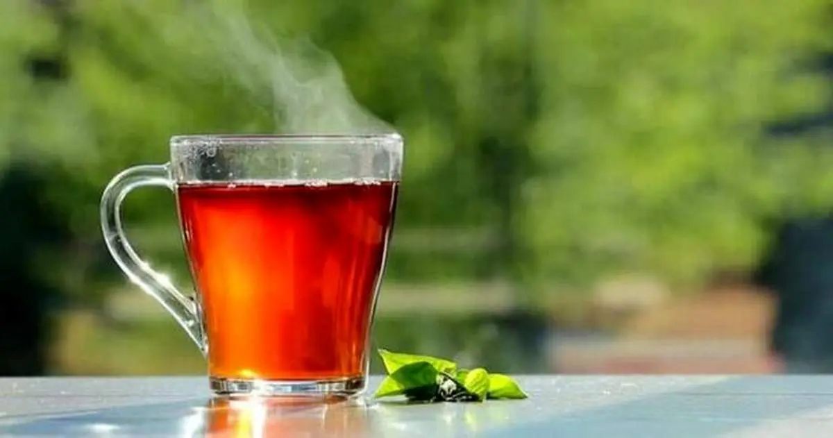 این عادات سرطان‌زا را موقع نوشیدن چای ترک کنید/ فواید و مضرات چای