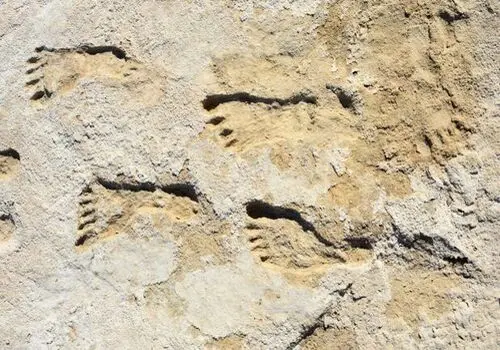 بلندترین صخره جهان که از عصر یخبندان به جا مانده است+ فیلم