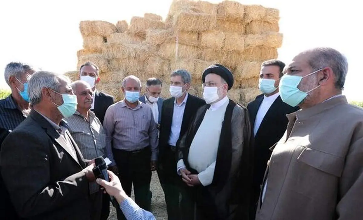 پیگیر طرح قطع دست دلالان از بازار تأمین نهادههای دامی هستیم