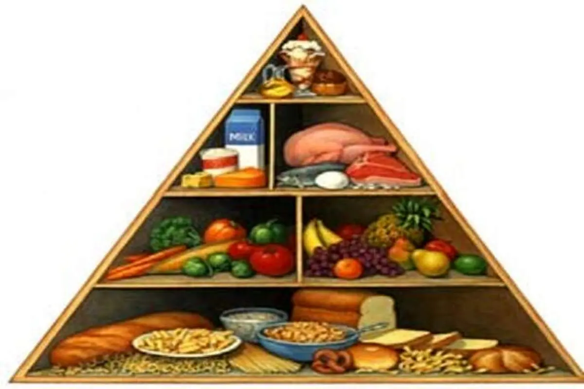 هرم غذایی و اصول تغذیه صحیح