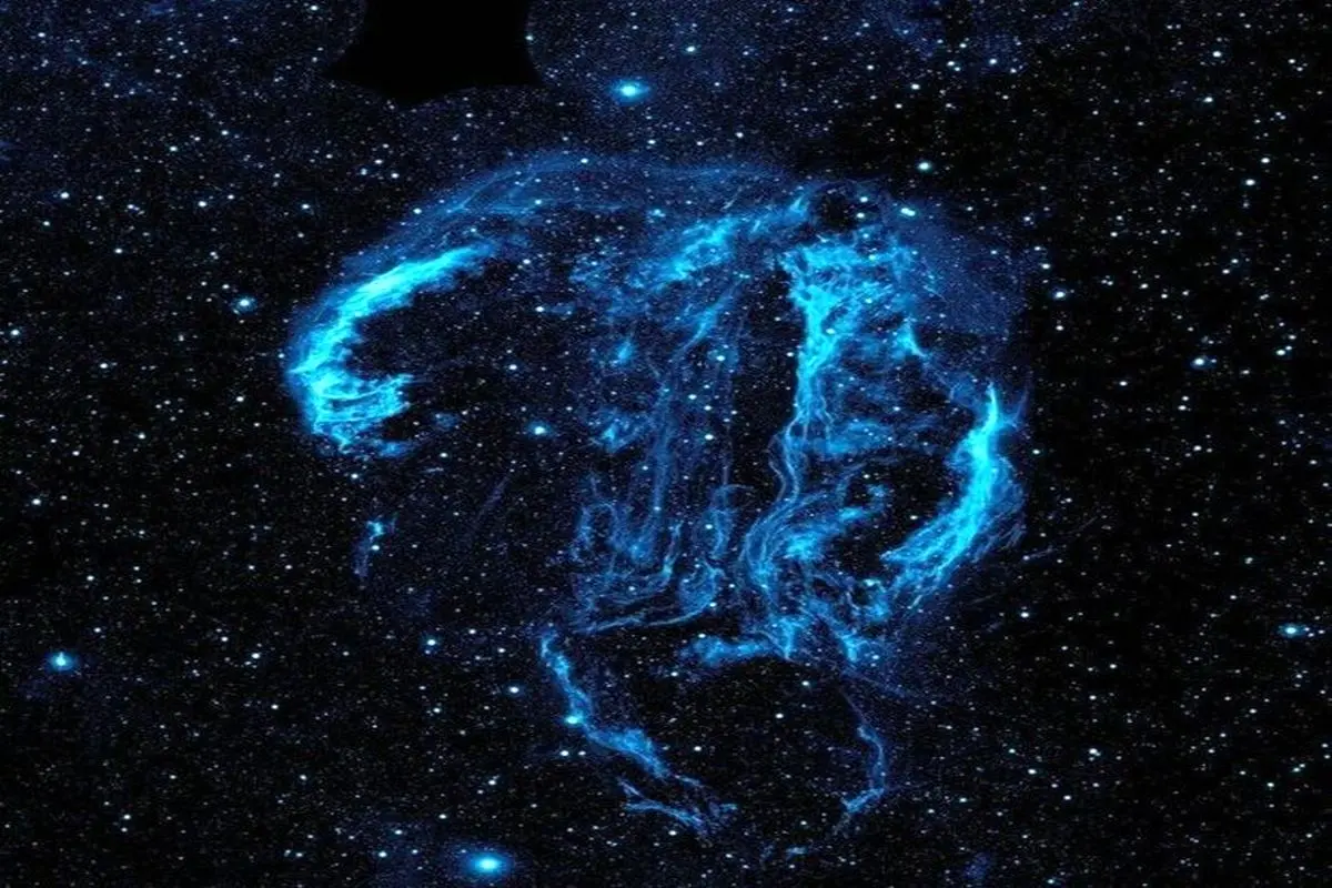 عروس دریایی در فضا یا جمجمه فضایی؟ + عکس