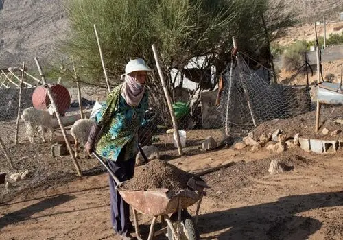 کشف پرنده باستانی در سنگ نگاره عهد ساسانی + تصاویر