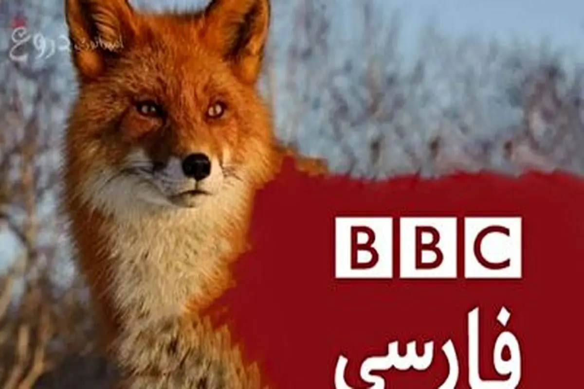 خوش رقصی بی بی سی برای الهام علیاف + فیلم