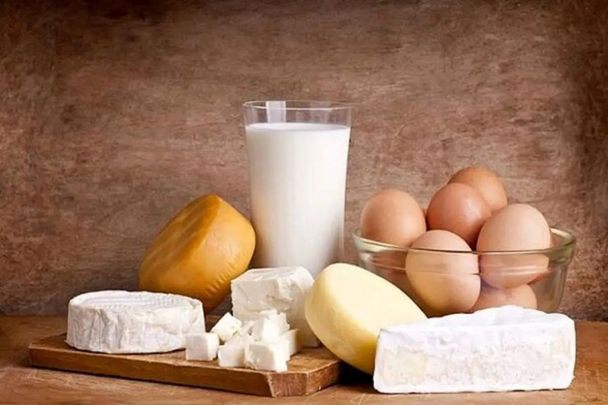شیر و ماست و پنیر از ۱۷ مهر ارزان میشود
