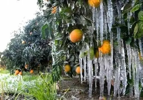 یک تغییر دمایی در راه است؛ هواشناسی هشدار داد