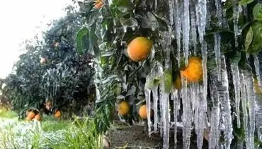 هواشناسی ایران ۱۴۰۰/۰۷/۱۶| کاهش دما در ۱۱ استان به زیر صفر درجه