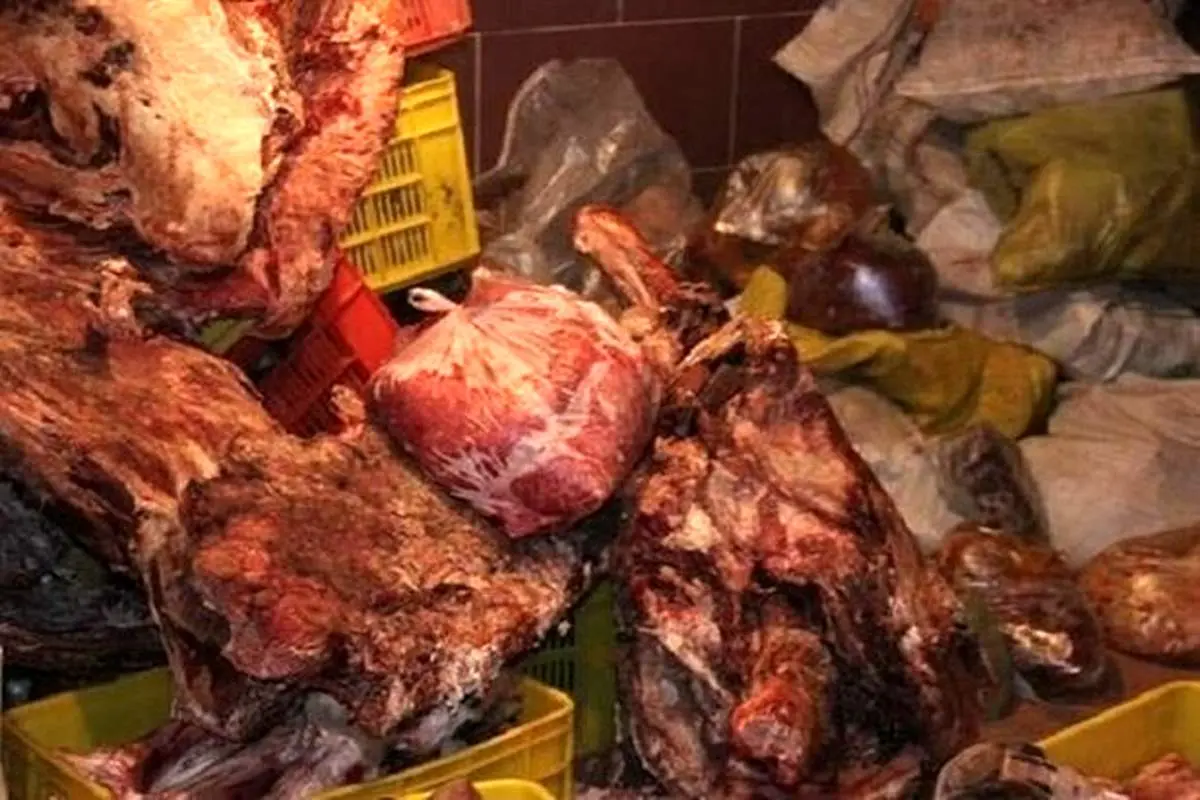 همبرگر ویژه با طعم استخوان و ضایعات گوشت! + فیلم