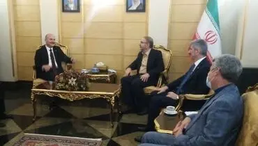 وزیر کشور ترکیه وارد تهران شد