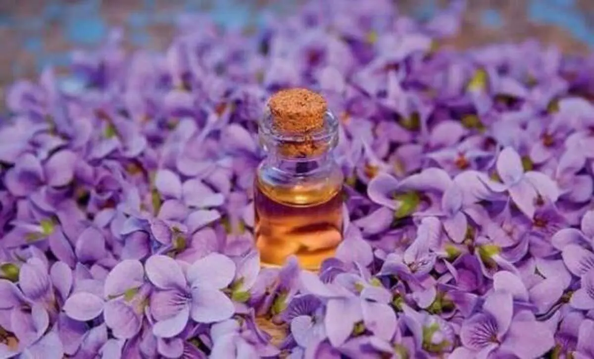 فروش روغن بنفشه به حامیان ضد واکسن در مقابل مجلس +فیلم