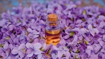 فروش روغن بنفشه به حامیان ضد واکسن در مقابل مجلس +فیلم