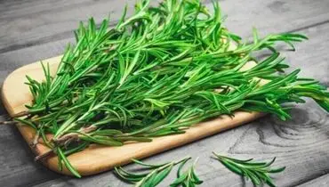 خواص جادویی رزماری برای مو