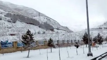 نخستین برف پاییزی استان مازندران