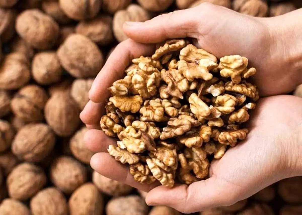 خواص گردو برای بانوان! +اینفوگرافی
