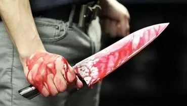 حمله یک زن و مرد وحشی انگلیسی با چاقو به همسایه‌ها + فیلم