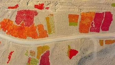 تصاویری زیبا از سرزمین فلفل خراسان رضوی
