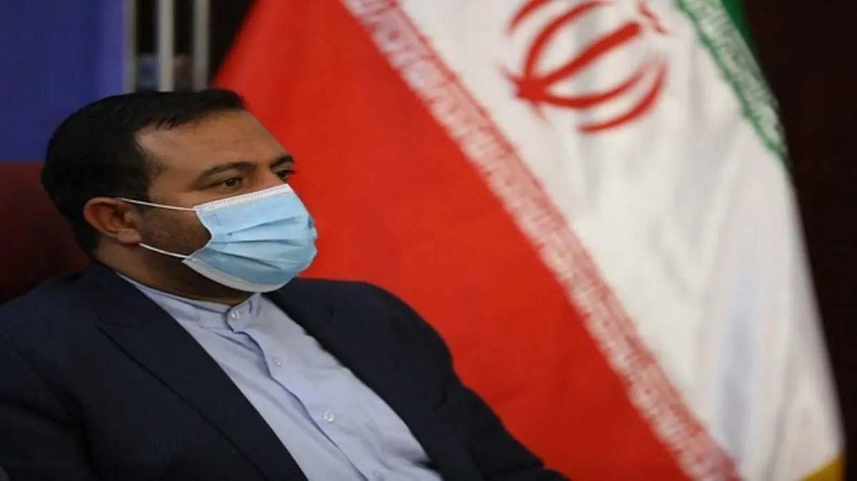 ادامه قیمت‌گذاری دستوری کالاهای بورسی از محورهای تحقیق و تفحص