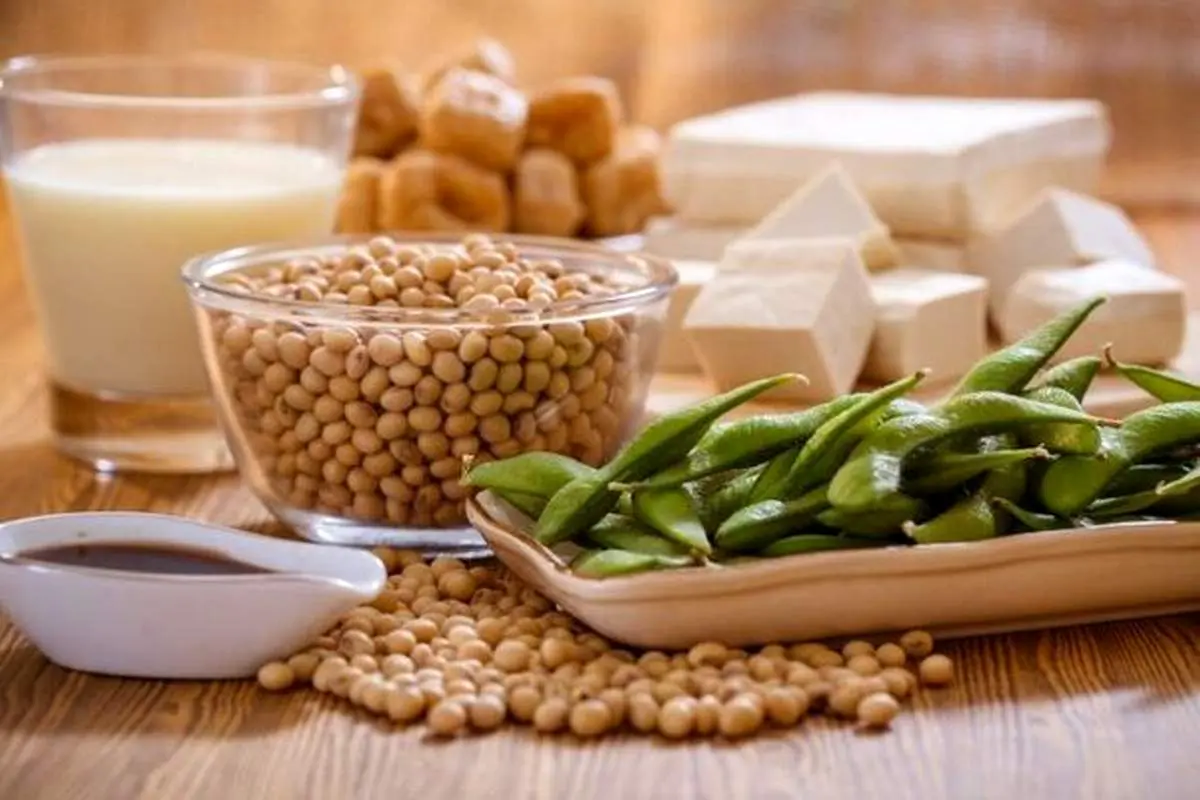 بررسی پرو تئین سویا برای ورزشکاران / خوب یا بد ؟
