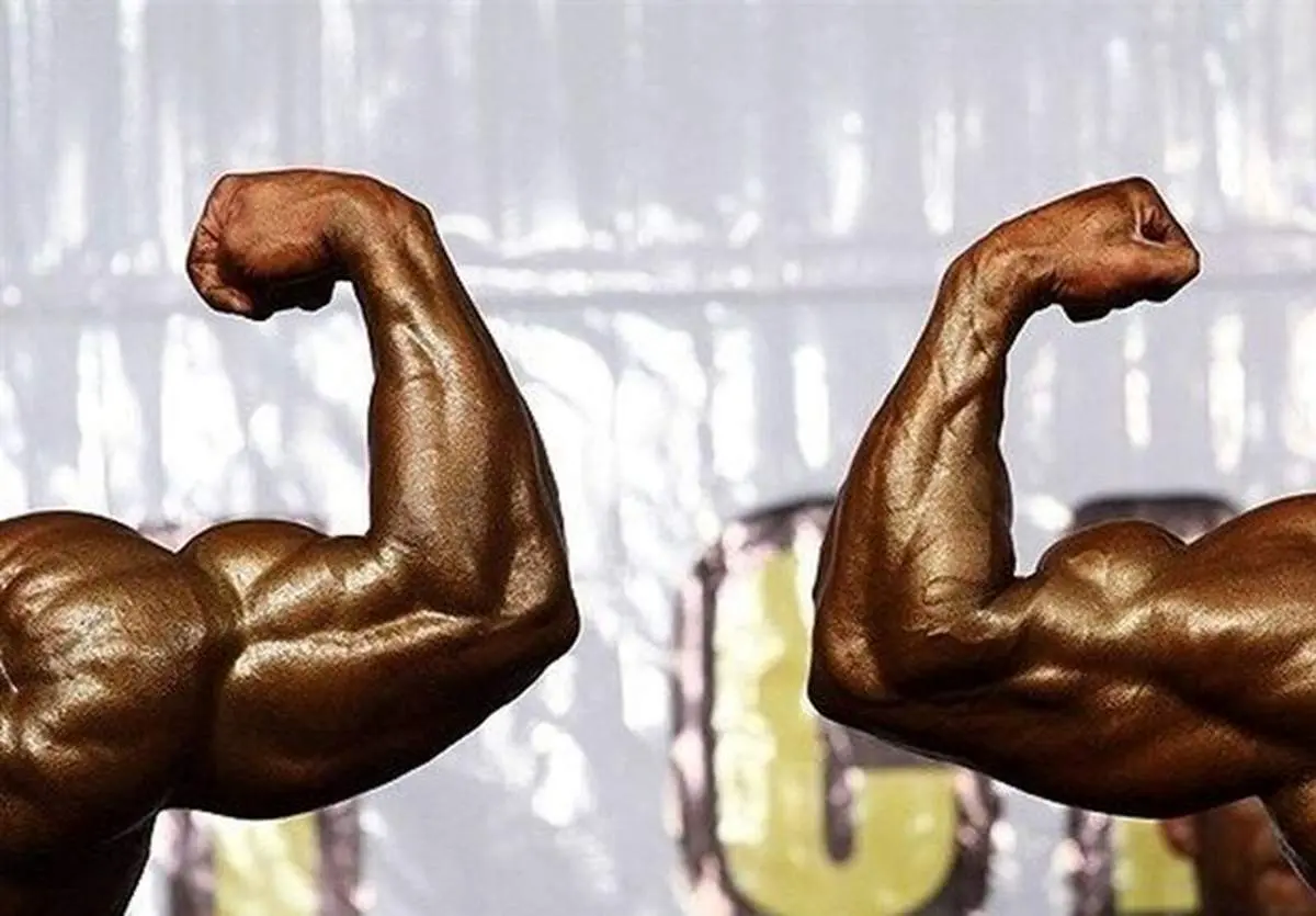 حاشیه‌‌ای جدید در فدراسیون بدنسازی/ عدم بازگشت دو ملی‌پوش به ایران و درگیری در اتوبوس