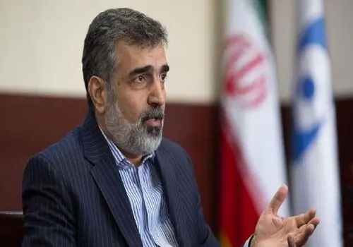  حسابرسی مواد در ایران با اغراض سیاسی انجام می‌شود