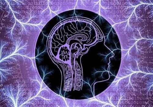 تأثیر مطالعه کتاب بر شخصیت انسان | آپدیت 2024