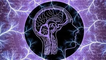 ۵ عادت سالم برای باهوش‌تر شدن!