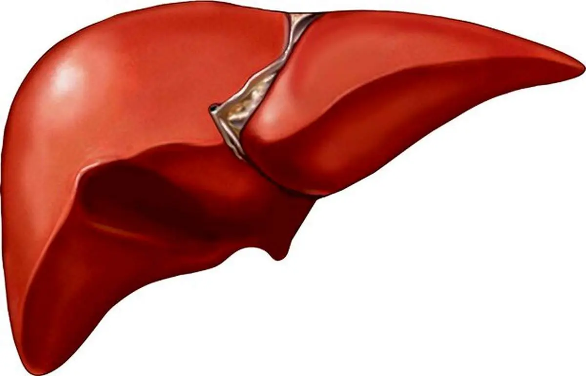 درمان کبد چرب با روش‌های خانگی