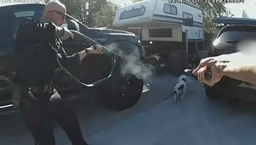 حرکت وحشیانه پلیس آمریکا در شلیک به سگ بی‌گناه + فیلم