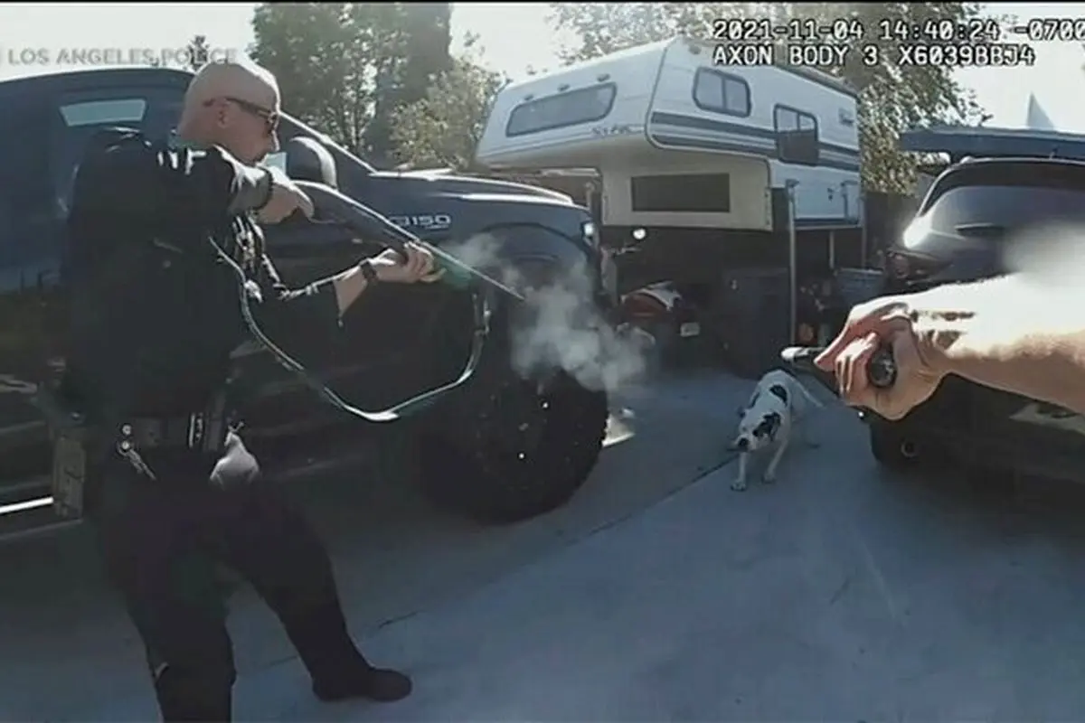 حرکت وحشیانه پلیس آمریکا در شلیک به سگ بی‌گناه + فیلم