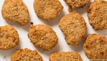گوشت آزمایشگاهی؛ راه نجات از گرسنگی و نابودی محیط زیست؟