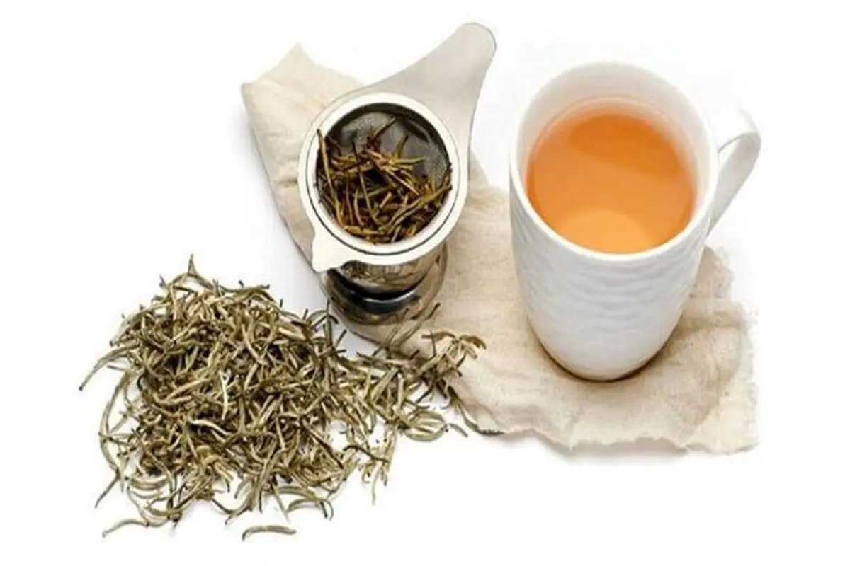 ۴ خاصیت شگفتانگیز چای سفید برای سلامتی