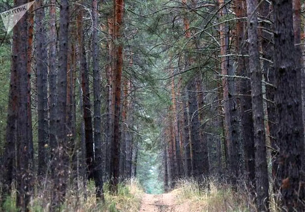 مناظر شگفت‌آور روسیه