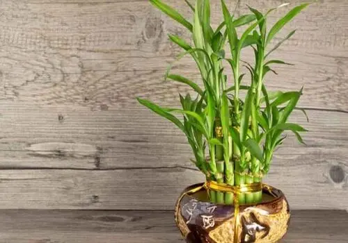 8 روش ساده برای جذب انرژی مثبت