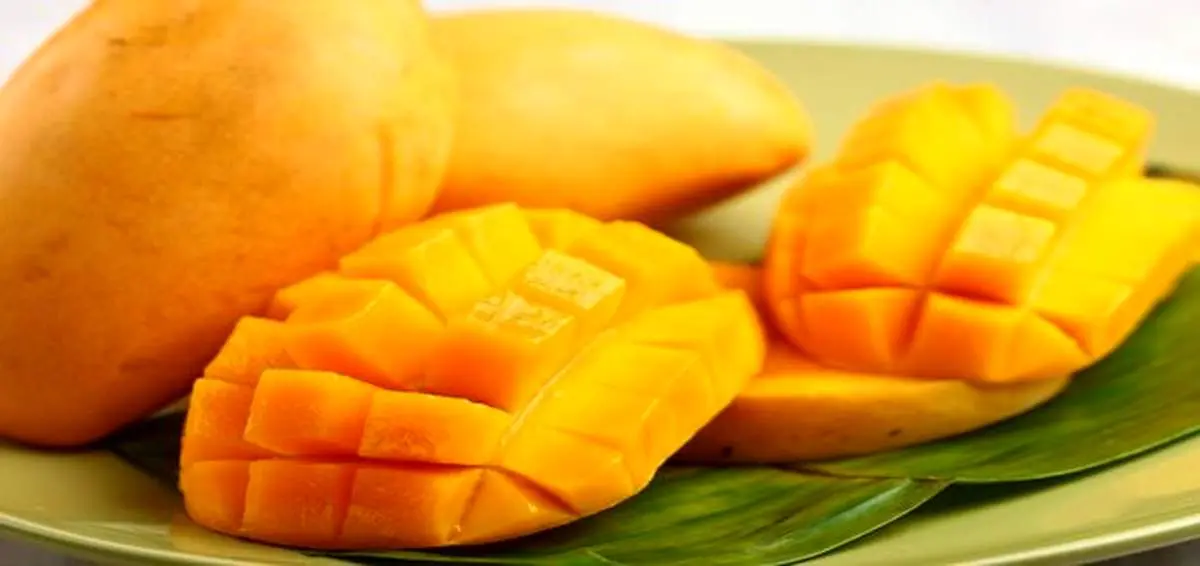 خواص بی نظیر مغز هسته انبه + جزئیات