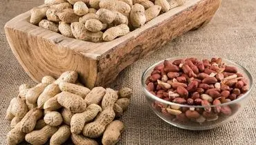 هر آنچه باید درباره بادام زمینی بدانید