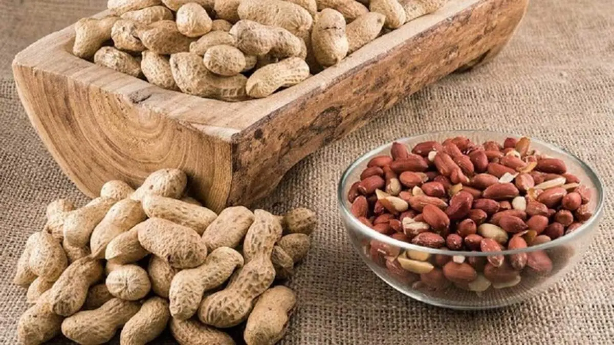 هر آنچه باید درباره بادام زمینی بدانید
