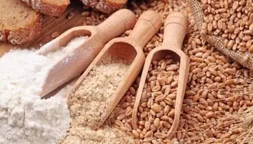 ارز ۴٢٠٠تومانی تا پایان سال حذف نمی شود/ توزیع ١١ میلیون تن نهاده