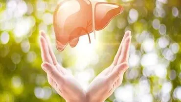 چند روش طبیعی برای پاکسازی کبد