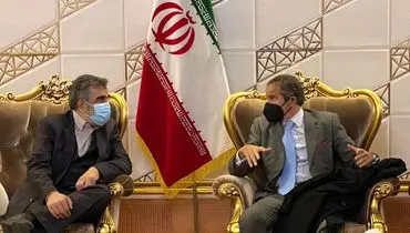 رافائل گروسی وارد تهران شد