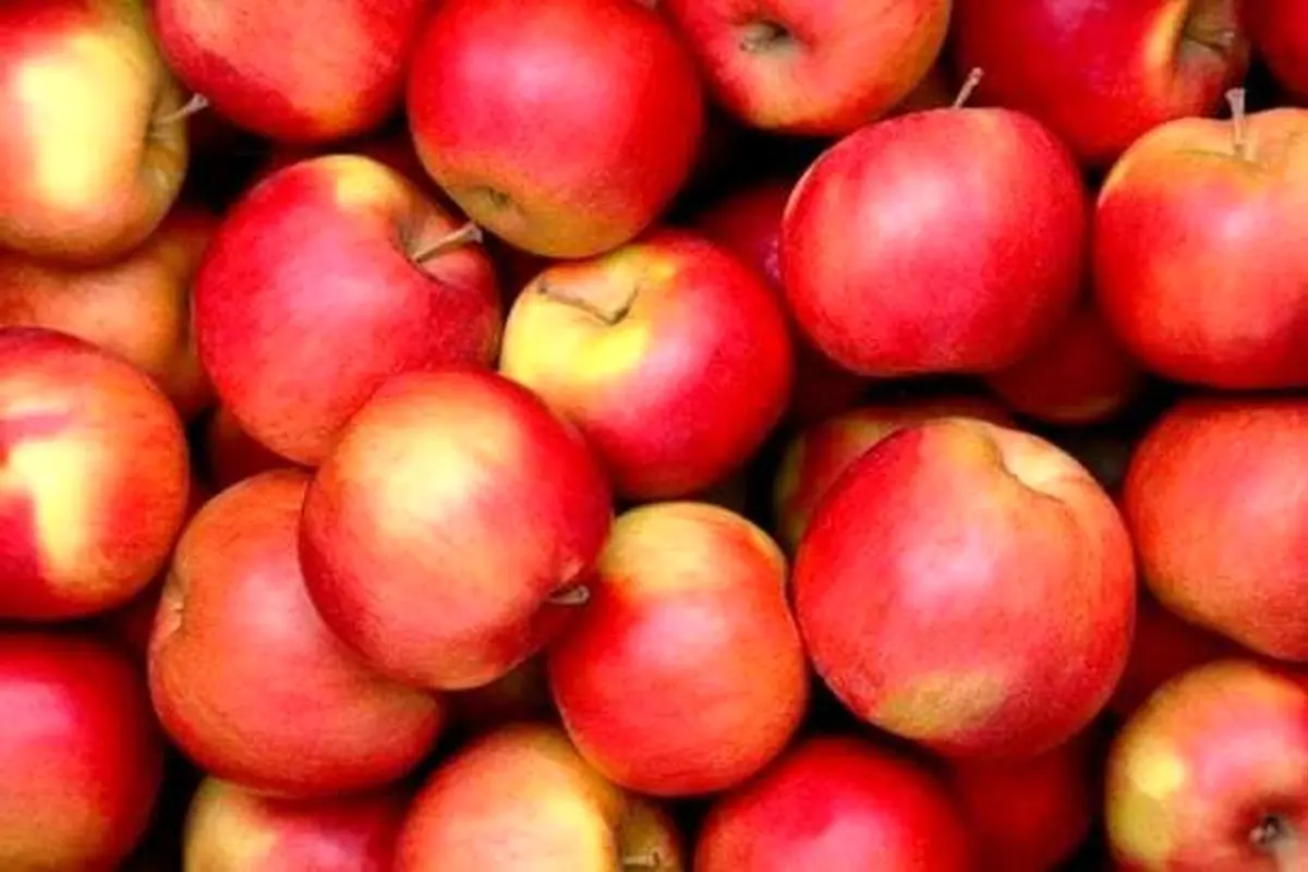 پوست سیب منبع ویتامین C است